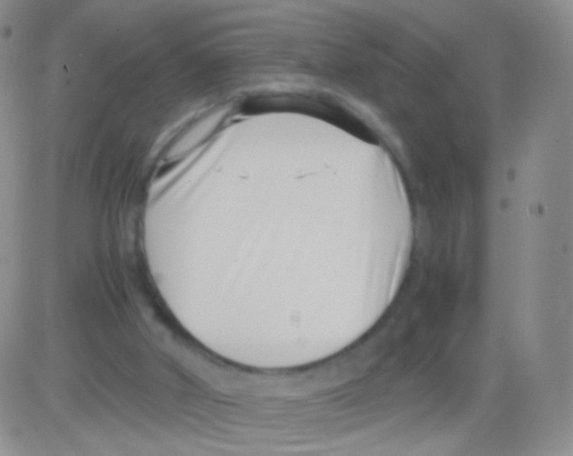 X0000082700010200702232242