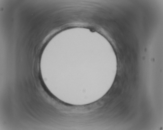 X0000082700011200702232242