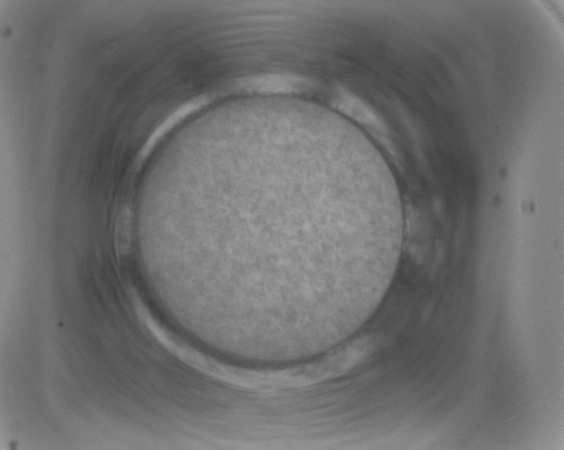 X0000082700012200702232242