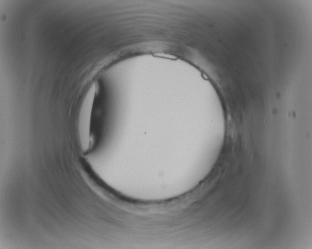 X0000082700013200702232242