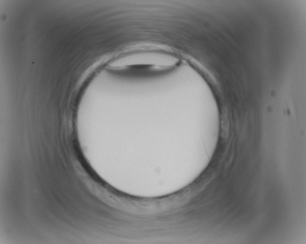 X0000082700015200702232242