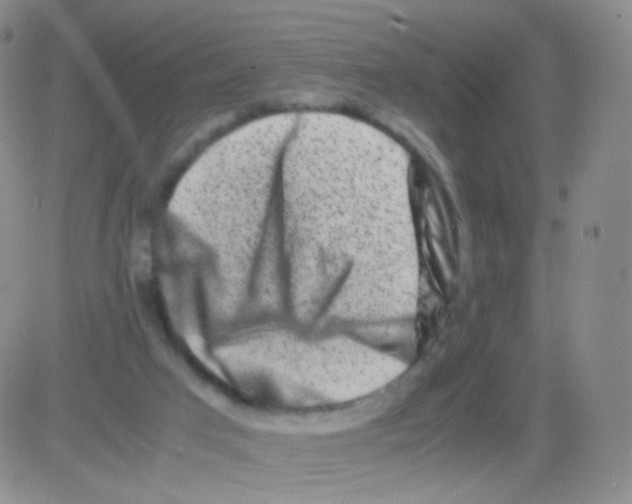 X0000082700017200702232242