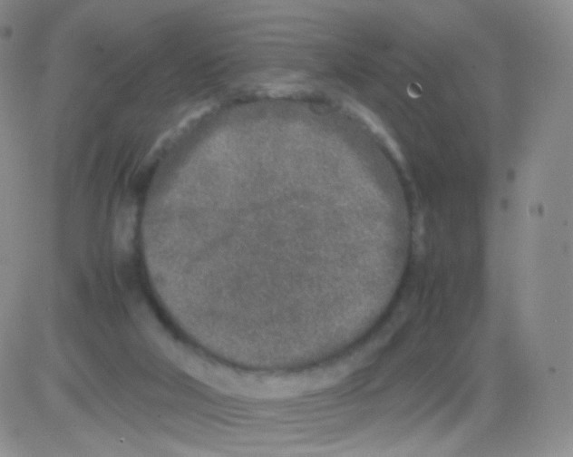 X0000082700018200702232242