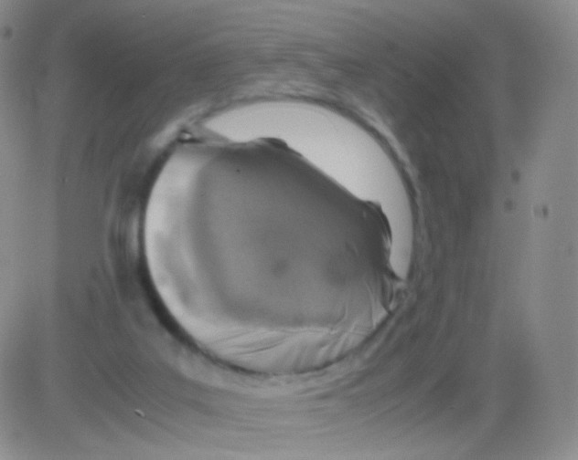 X0000082700019200702232242