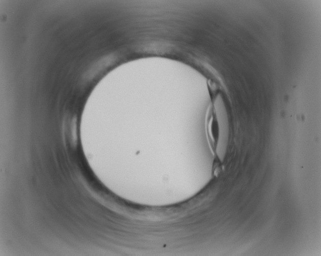 X0000082700020200702232242