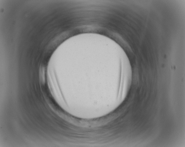 X0000082700022200702232242