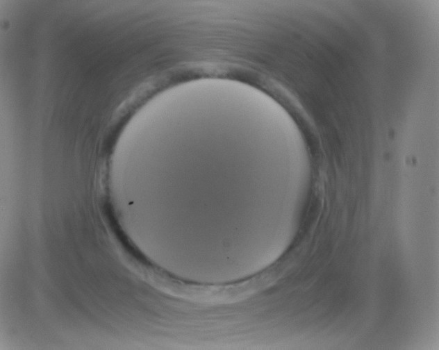 X0000082700023200702232242