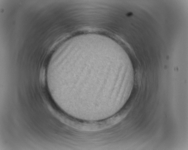 X0000082700024200702232242