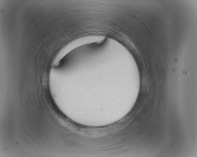 X0000082700025200702232242