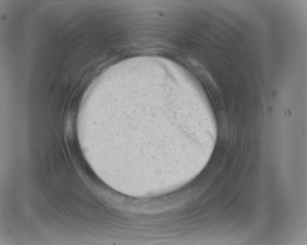 X0000082700026200702232242