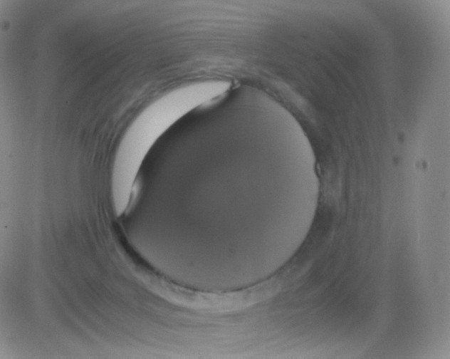 X0000082700027200702232242