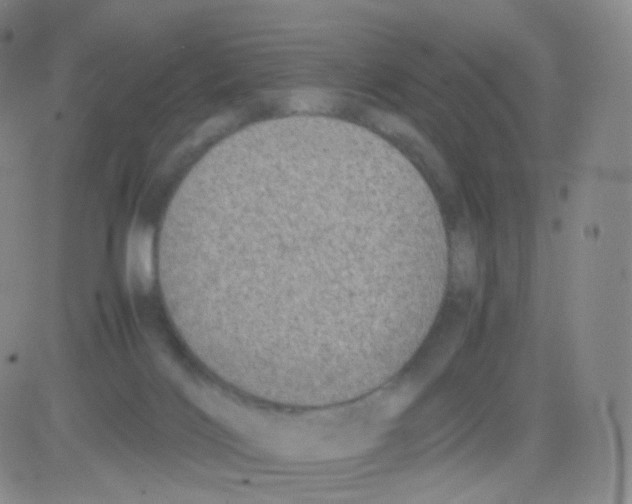 X0000082700028200702232242