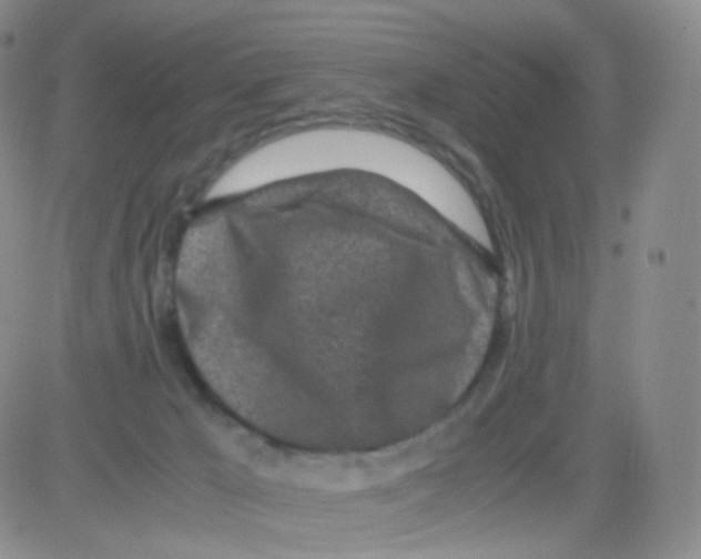 X0000082700029200702232242