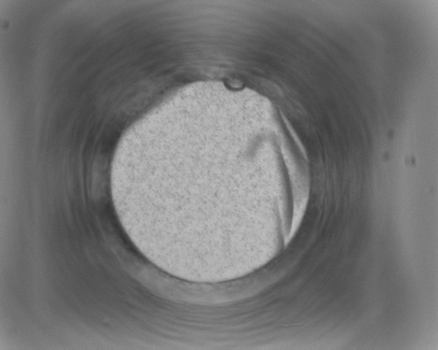 X0000082700030200702232242