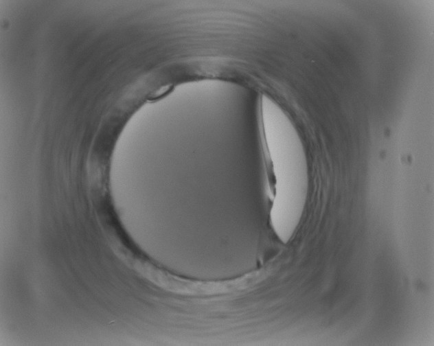 X0000082700031200702232242