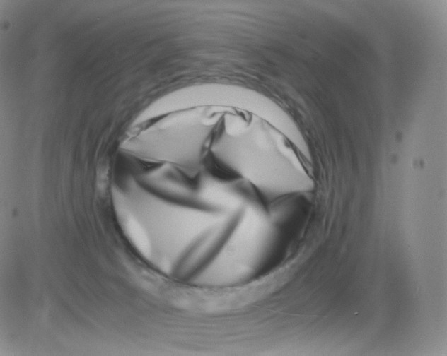 X0000082700033200702232242