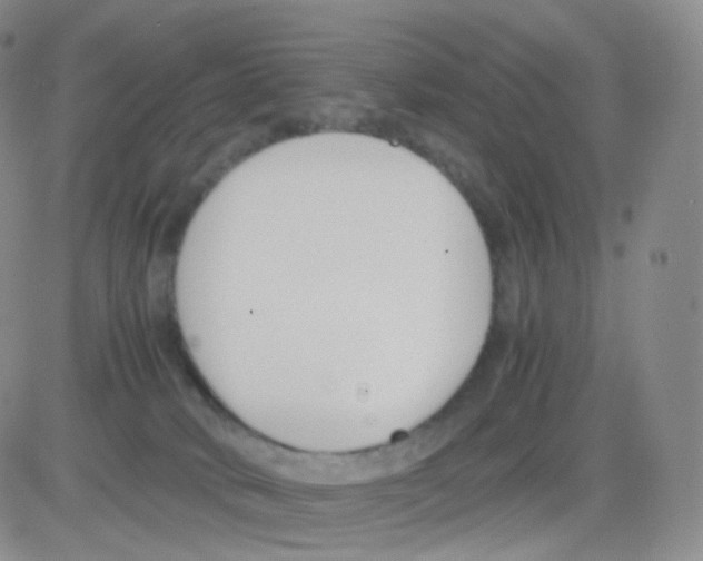 X0000082700034200702232242