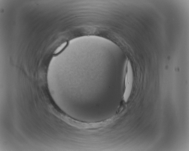 X0000082700035200702232242