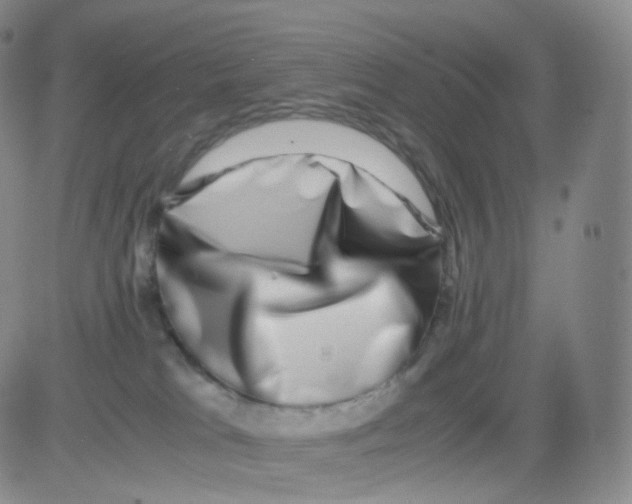 X0000082700037200702232241