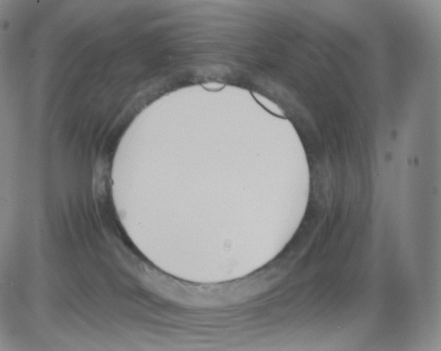 X0000082700038200702232241