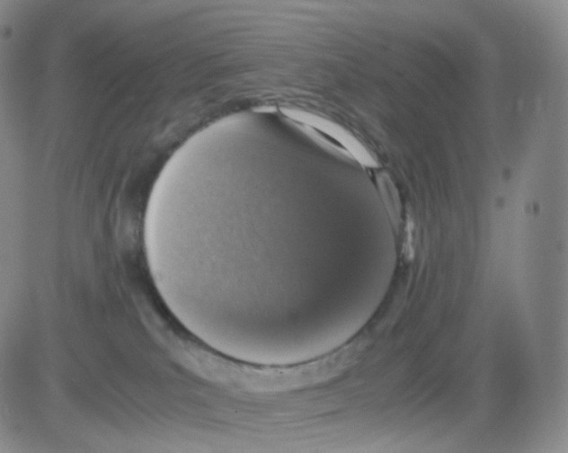 X0000082700039200702232241