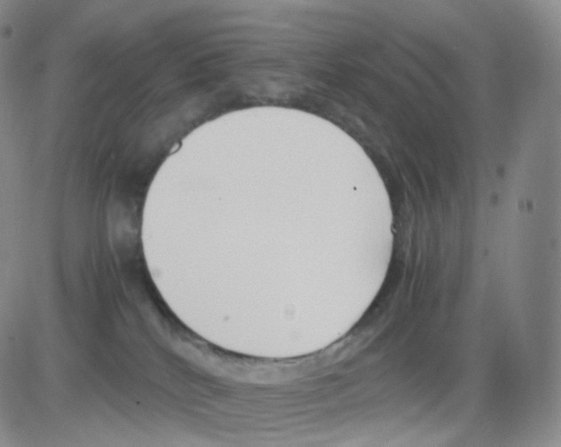 X0000082700040200702232241