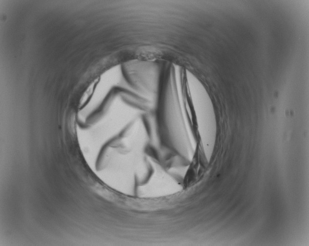 X0000082700041200702232241