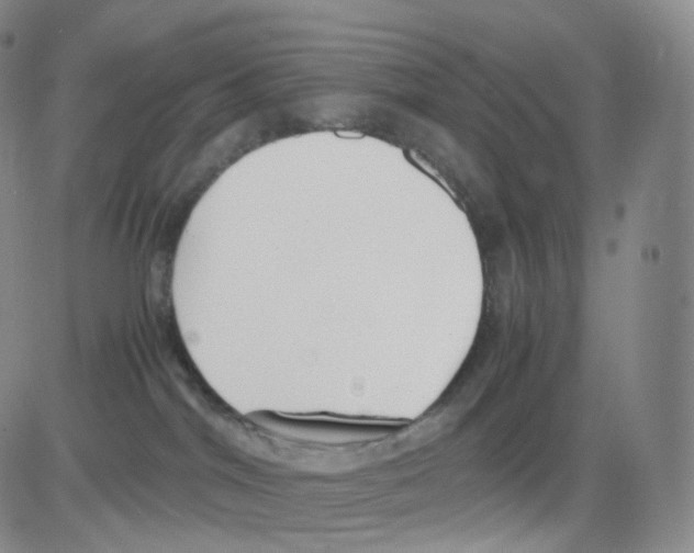 X0000082700044200702232241