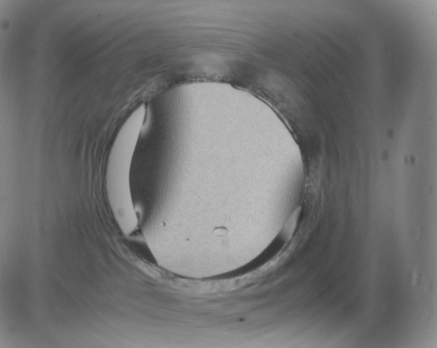 X0000082700045200702232241