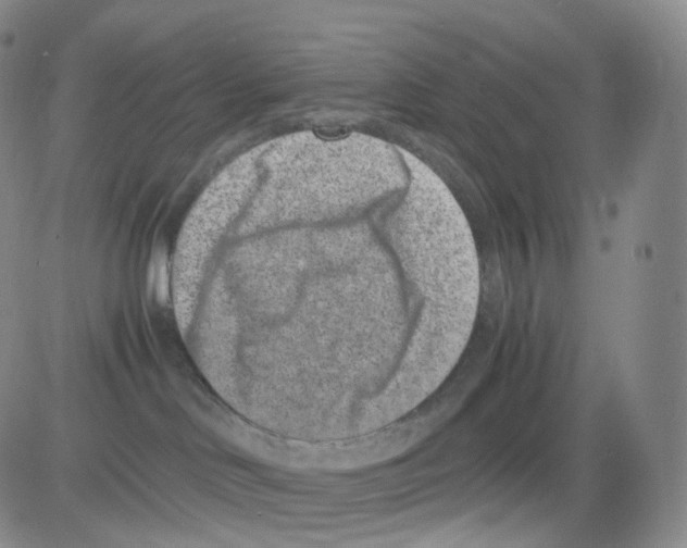 X0000082700046200702232241