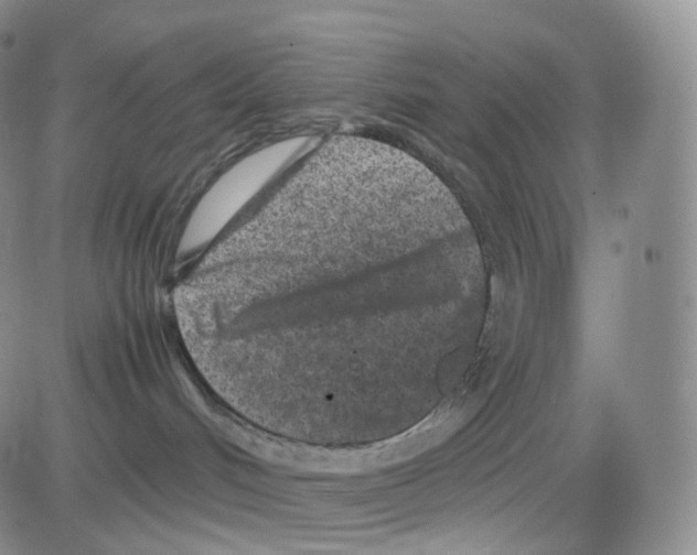 X0000082700048200702232241