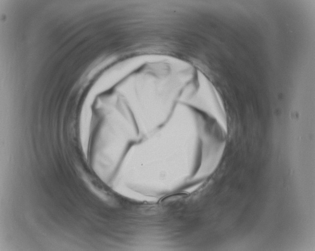 X0000082700050200702232241