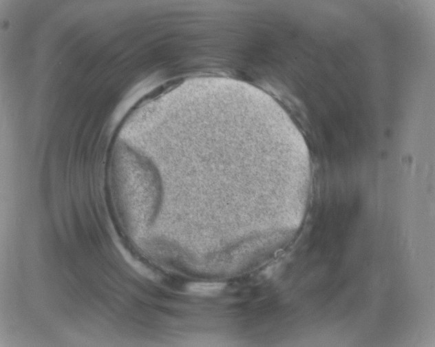 X0000082700051200702232241