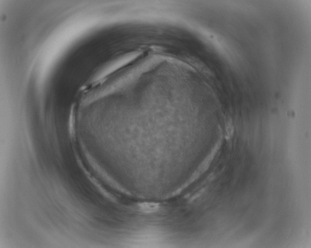 X0000082700052200702232241