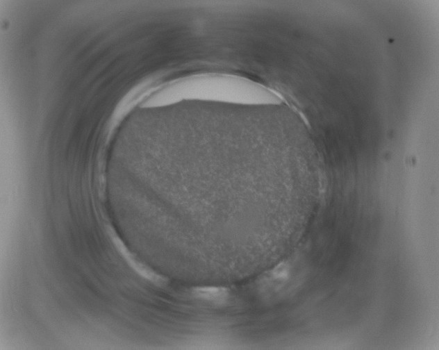 X0000082700053200702232241