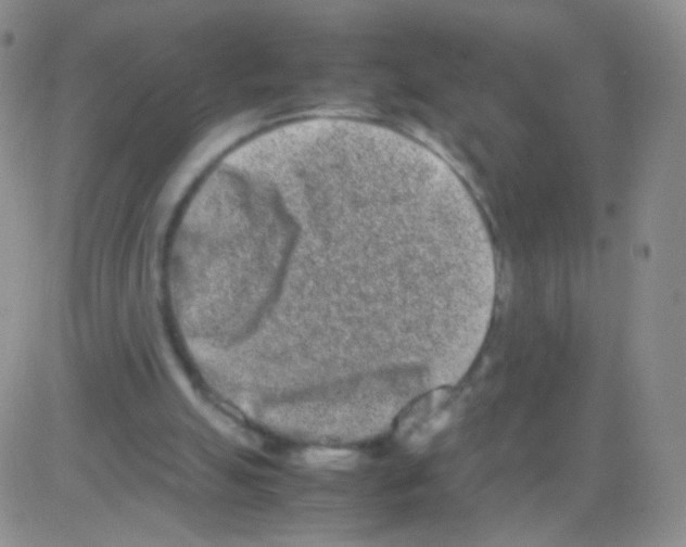 X0000082700055200702232241