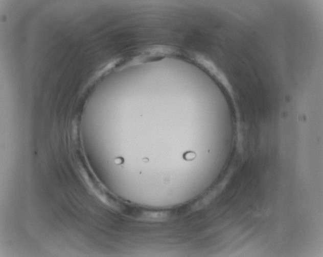 X0000082700057200702232241