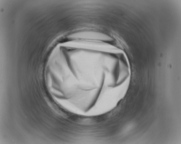 X0000082700058200702232241