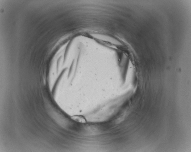 X0000082700062200702232241