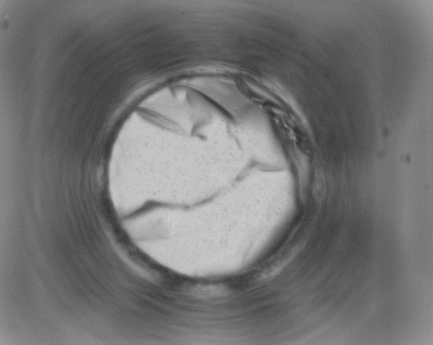 X0000082700063200702232241