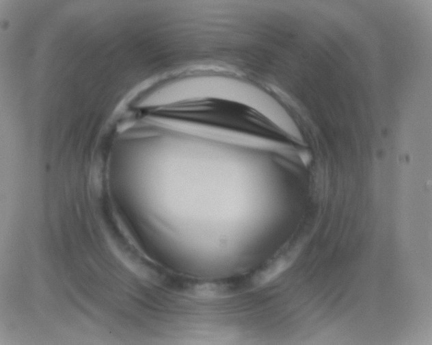 X0000082700064200702232241