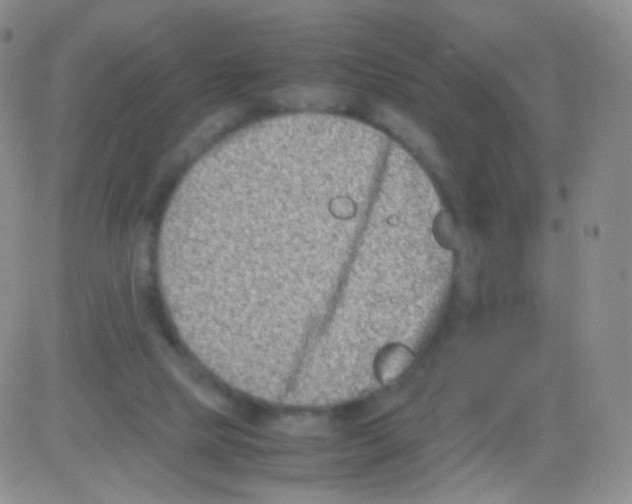 X0000082700065200702232241