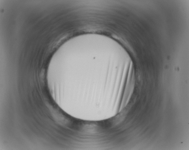 X0000082700066200702232241