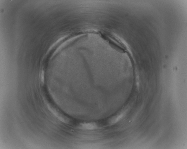 X0000082700067200702232241