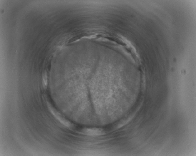 X0000082700069200702232241