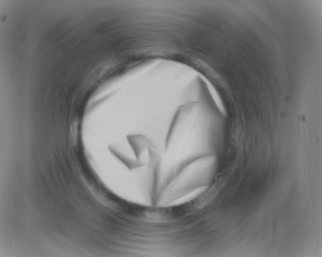 X0000082700070200702232241