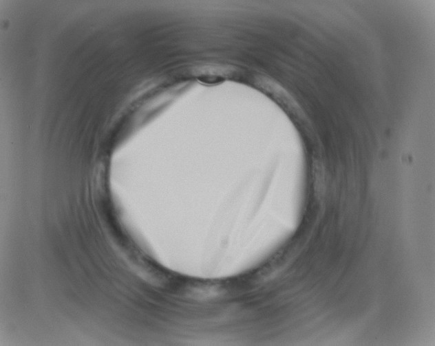 X0000082700071200702232241