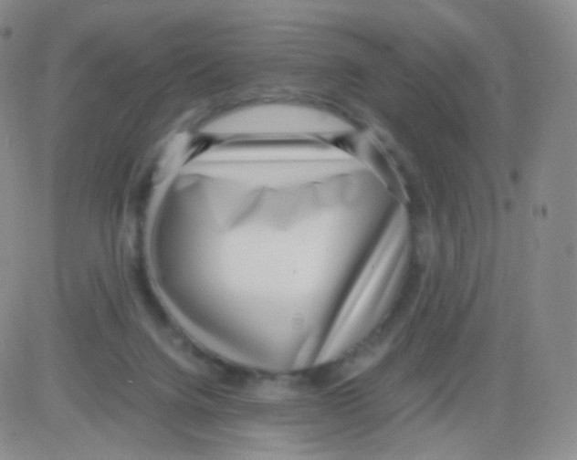 X0000082700072200702232241