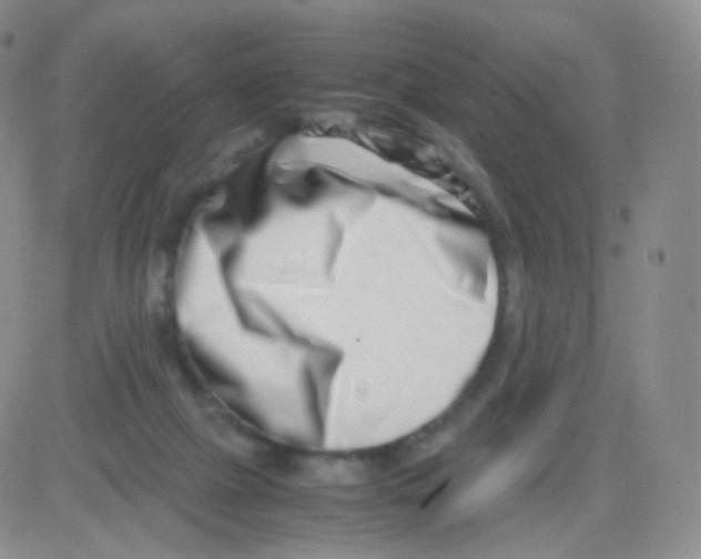 X0000082700073200702232241