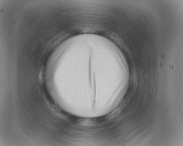 X0000082700074200702232241